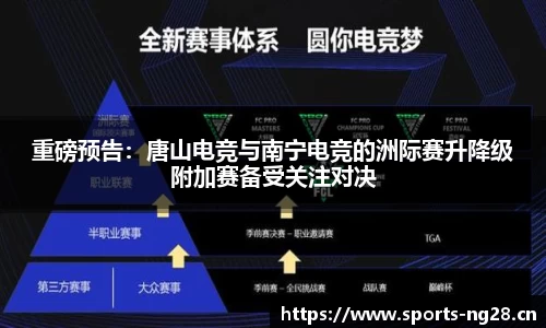 ng体育官网